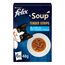 Felix Soup Tender Strips Suppe für Katzen, 1 Packung (6 x 48g) (Packung mit 10)