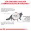 Royal Canin Veterinary Gastrointestinal | 2 kg | Trockenfutter für Katzen | Kann unterstützend helfen bei gastrointestinalen Erkrankungen bei Katzen | Hohe Akzeptanz