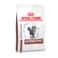 Royal Canin Veterinary Gastrointestinal | 2 kg | Trockenfutter für Katzen | Kann unterstützend helfen bei gastrointestinalen Erkrankungen bei Katzen | Hohe Akzeptanz