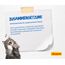 JOSERA Marinesse (1 x 10 kg) | Adult | Premium Trockenfutter für ausgewachsene allergische Katzen | Lachs, Kartoffel & Erbse als ausgesuchte Proteinquellen | getreidefrei | Katzenfutter | 1er Pack