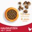 IAMS Indoor Katzenfutter trocken mit Huhn - Trockenfutter für Hauskatzen ab 1 Jahr, 10 kg