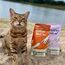 The Better Cat Super Premium Trockenfutter für Katzen | Getreidefreies Katzenfutter Trocken | Hoher Fleischanteil | Ohne Zucker | Mit Probiotika (1kg, Huhn)
