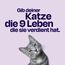 The Better Cat Super Premium Trockenfutter für Katzen | Getreidefreies Katzenfutter Trocken | Hoher Fleischanteil | Ohne Zucker | Mit Probiotika (1kg, Lachs)