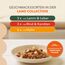 IAMS Delights Land Collection Senior Katzenfutter Nass - Multipack mit Fleisch Sorten (Huhn, Lamm & Rind) in Gelee, Nassfutter für ältere Katzen ab 7 Jahre, 12 x 85g