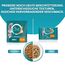 PURINA ONE BIFENSIS Urinary Care Katzenfutter trocken, reich an Huhn, 6er Pack (6 x 1,4kg)