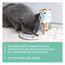 GimCat Crunchy Snacks Ente mit Katzenminze - Knuspriges und proteinreiches Katzenleckerli - 1 Beutel (1 x 50 g)