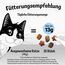 Felix Knabber Mix Original und Strandspaß, Katzensnack mit verschiedenen Sorten Mixtray, 2er Pack (8X 60g)