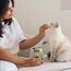 GimCat Nutri Pockets Insekt & Katzenminze - Knuspriger Katzensnack mit funktionalen Inhaltsstoffen - 1 Beutel (1 x 60 g)