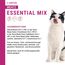 catz finefood Meatz Katzen Leckerlies Essential Mix - knusprige Streifen aus den beliebtesten Fleischsorten - Katzensnack für Allergiker ohne Zucker, getreidefrei (1 x 45 g) (Packung mit 2)