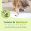 GimCat Gras Bits - Getreidefreier und vitaminreicher Katzensnack mit echtem Gras - 1 Beutel (1 x 425 g)