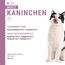 catz finefood Meatz Katzen Leckerlies Kaninchen N° 11 - knusprige Streifen aus Kaninchenfleisch - gegrillt und getrocknet - Katzensnack ohne Zucker, getreidefrei, 45g (Packung mit 2)