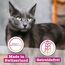catz finefood Meatz Katzen Leckerlies Essential Mix - knusprige Streifen aus den beliebtesten Fleischsorten - Katzensnack für Allergiker ohne Zucker, getreidefrei (1 x 45 g) (Packung mit 2)