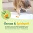 GimCat Käse Rollis - Getreidefreier und vitaminreicher Katzensnack mit echtem Hartkäse - 1 Beutel (1 x 425 g)