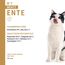 catz finefood Meatz Katzen Leckerlies Ente N° 7 - knusprig gegrillte Streifen aus Entenfleisch - mit Aloe Vera für die Darmflora - Katzensnack ohne Zucker, getreidefrei, 45g