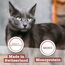 catz finefood Meatz Katzen Leckerlies Huhn N° 3 - knusprige Fleischstreifen, gegrilltes Hühnerfleisch mit Biotin für gänzendes Fell - Katzensnack ohne Zucker, getreidefrei, 45g (Packung mit 2)