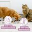 catz finefood Meatz Katzen Leckerlies Kaninchen N° 11 - knusprige Streifen aus Kaninchenfleisch - gegrillt und getrocknet - Katzensnack ohne Zucker, getreidefrei, 45g (Packung mit 2)