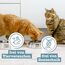 catz finefood Meatz Katzen Leckerlies Känguru N° 13 - knusprige Streifen aus 100 Prozent Kängurufleisch - Katzensnack für Allergiker ohne Zucker, getreidefrei, 45g, Die Verpackung kann variieren.
