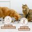 catz finefood Meatz Katzen Leckerlies Hirsch N° 9 - knusprige Streifen aus Hirschfleisch - gegrillt und getrocknet - Katzensnack ohne Zucker, getreidefrei, 45g (Packung mit 3)