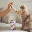 GimCat Nutri Pockets mit Ente - Knuspriger Katzensnack mit cremiger Füllung und funktionalen Inhaltsstoffen - 1 Beutel (1 x 60 g)