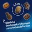 Felix KnabberMix Picnic Party Katzensnack, Knusper-Leckerlie mit 3 Geschmacksrichtungen, 8er Pack (8 x 60g)