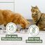 catz finefood Meatz Katzen Leckerlies Pferd N° 15 - knusprige Streifen aus 100 Prozent Pferdefleisch - Katzensnack für Allergiker ohne Zucker, getreidefrei (1 x 45 g) (Packung mit 3)