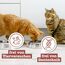 catz finefood Meatz Katzen Leckerlies Huhn N° 3 - knusprige Fleischstreifen, gegrilltes Hühnerfleisch mit Biotin für gänzendes Fell - Katzensnack ohne Zucker, getreidefrei, 45g (Packung mit 2)