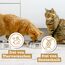 catz finefood Meatz Katzen Leckerlies Ente N° 7 - knusprig gegrillte Streifen aus Entenfleisch - mit Aloe Vera für die Darmflora - Katzensnack ohne Zucker, getreidefrei, 45g (Packung mit 3)