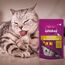 Whiskas Groom & Care Katzensnacks im Portionsbeutel für ausgewachsene Katzen mit Huhn 8x45g