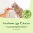 GimCat Käse Rollis - Getreidefreier und vitaminreicher Katzensnack mit echtem Hartkäse - 6er Pack (6 x 140 g)