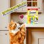 Dreamies Creamy Snacks Cremige Katzensnacks mit Huhn & Lachs Megapack 7x12x10g