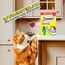 DREAMIES Creamy mit Katzenminze und Käse, 7x12x10g Multipack - Cremige Katzenleckerlis für verwöhnte Katzen