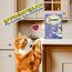 Dreamies Katzenleckerlis Creamy Snacks mit Ente – köstlich cremiger Geschmack – 44 Portionsbeutel (11 x 4 x 10g)