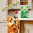 DREAMIES Creamy Multipack Katzenminze, 11x4x10g - Cremige Leckerlis mit Katzenminze für Katzen