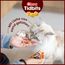 INABA Churu Tidbits Cat Treats für kleine Katzen, Hochwertige Proteine mit Huhn, Getreidefrei, Zuckerfrei Katzen Leckerlies, Weiche und zähe Katzenleckerlis in kleinen Häppchen 96 g (1er Pack)