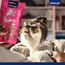 Vitakraft Cat YUMS, Katzensnack, mit herzhafter Leberwurst, extra fleischig, mit sichtbarer Füllung, im wiederverschließbaren Beutel (1x 40g) (Packung mit 2)