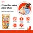 Churu Cat Snack Bites Huhn 3x10g (Packung mit 3)