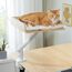 PAWZ Road Katzenbett für Schreibtisch, Holz-Katzenbett für drinnen, Katzenkorb, 360° drehbar & höhenverstellbar, Katzen Hängematte für Kratzen, unterstützt bis zu 23kg