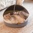 CheerPals Katzenbett Geflochten & Katzenhöhle mit Deckel – Formstabiler Katzenkorb aus Kratzfestem Garn, 2-in-1 Kuschelhöhle mit Waschbarem Kissen für Versteck & Schlaf, 44x44x33cm (Beige/Blau)