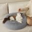 BEDSURE Katzenbett waschbar Flauschiges Hundebett - Ø 50 cm Rund Kissen, Katzenschlafplatz für Katzen Kleine Mittelgroße Hunde, Plüsch Katzenkissen Rund Kuschelbett Katzen Bettchen, Hellgrau