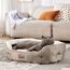 BEDSURE Katzenbett waschbar Katzen Bettchen - 63x53x20cm Katzenkorb mit Zweiseitig Innenkissen Katzenschlafplatz für Katzen oder kleine Hunde, Kamel