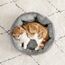 BEDSURE Katzenbett waschbar Katzen Bettchen - 51x48x15cm Katzenkorb mit Zweiseitig Innenkissen Katzenschlafplatz für Katzen oder kleine Hunde,Grau
