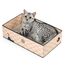 Conlun Katzen Kratzbrett mit Box, Großes Kratzmöbel, Beidseitige Kratzpappe für Katzen, Interaktive Öffnungen, Kratzbett für Wohnungskatzen, mit Katzenminze (1 Stück, Groß, Kariert)