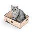 Conlun Kratzbrett Katze mit Box, Langlebige Kratzpappe für Katzen, Beidseitig Nutzbar, Interaktive Öffnungen, Sauberes Kratzmöbel für Wohnungskatzen (1 Stück, Mittel, Kariert)