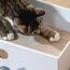 Conlun Katzen Kratzbrett mit Box, Großes Kratzmöbel, Beidseitige Kratzpappe für Katzen, Interaktive Öffnungen, Kratzbett für Wohnungskatzen, mit Katzenminze (2 Stück, Groß, Weiß)