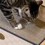 Conlun Katzen Kratzbrett mit Box, Großes Kratzmöbel, Beidseitige Kratzpappe für Katzen, Interaktive Öffnungen, Kratzbett für Wohnungskatzen, mit Katzenminze (1 Stück, Groß, Kariert)