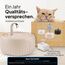 PrettyPaw Katzenbrunnen - Super leiser, BPA-freier 3L Trinkbrunnen für Katze mit LED und Aktivkohlefilter - Leicht zu reinigender Katzen Trinkbrunnen - Aqua Flow (Beige)