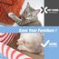 Conlun 5er-Pack Katzenkratzbox mit Katzenkratzpad, Großes Beidseitiges Design, Interaktive Öffnungen, Sauber & Langlebig, Kratzpappe für Katzen, Möbelschutz (Groß, Rot)