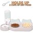 3-in-1 Katze Futternapf und Wassernapf Set, Katzennapf 3er Set, Doppel-Katzennäpfe mit Wasserspender für Haustiere, Futternapf und Wassernapf für Katzen und Kleine Hunde