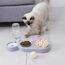 3-in-1 Katze Futternapf und Wassernapf Set, Katzennapf 3er Set, Doppel-Katzennäpfe mit Wasserspender für Haustiere, Futternapf und Wassernapf für Katzen und Kleine Hunde
