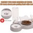 3-in-1 Katze Futternapf und Wassernapf Set, Katzennapf 3er Set, Doppel-Katzennäpfe mit Wasserspender für Haustiere, Futternapf und Wassernapf für Katzen und Kleine Hunde